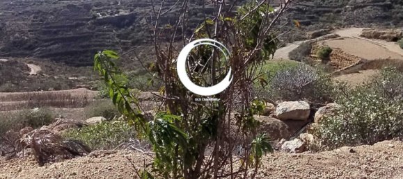 Terrain à Arico, Spain 5000m² No. 157299 5