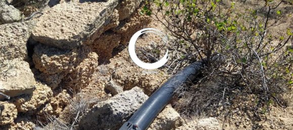 Terrain à Arico, Spain 5000m² No. 157299 4