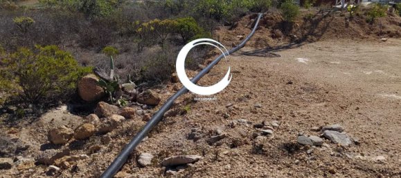 Terrain à Arico, Spain 5000m² No. 157299 10