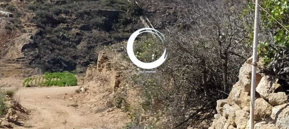 Terrain à Arico, Spain 5000m² No. 157299 9