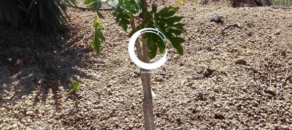 Terrain à Arico, Spain 5000m² No. 157299 6