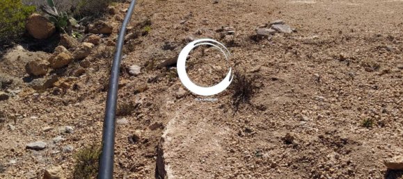 Terrain à Arico, Spain 5000m² No. 157299 11