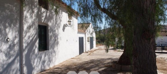 Propriété commerciale à Almayate Bajo, Spain No. 58820 24