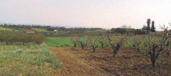 Terrain à Caltagirone, Italy 12700m² No. 291437 7
