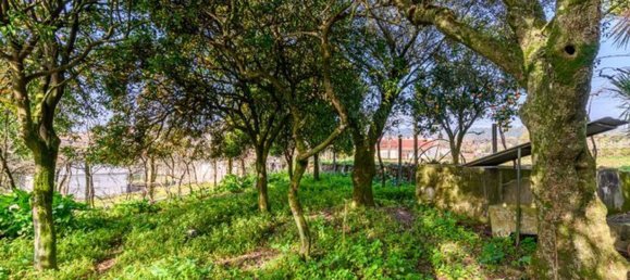 4 Schlafzimmer Haus in Barcelos, Portugal, Nr. 35581 19