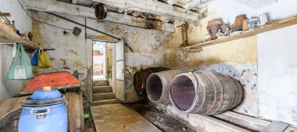 4 Schlafzimmer Haus in Barcelos, Portugal, Nr. 35581 14