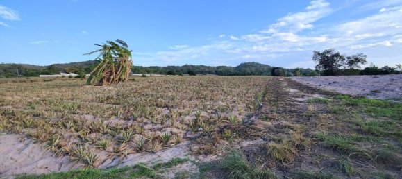  Commercial property in Hua Hin, Thailand No. 7798 13