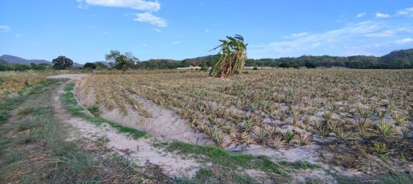  Commercial property in Hua Hin, Thailand No. 7798 14