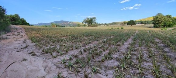  Commercial property in Hua Hin, Thailand No. 7798 9