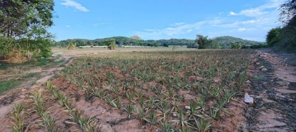  Commercial property in Hua Hin, Thailand No. 7798 12