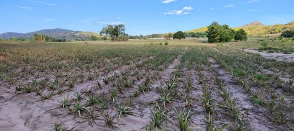  Commercial property in Hua Hin, Thailand No. 7798 8