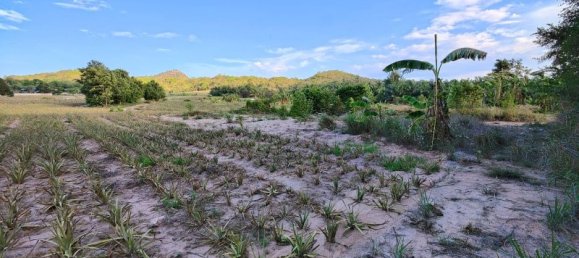  Commercial property in Hua Hin, Thailand No. 7798 7