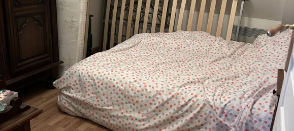 3 chambres Maison de ville à Châtillon-sur-Loire, France No. 69030 7