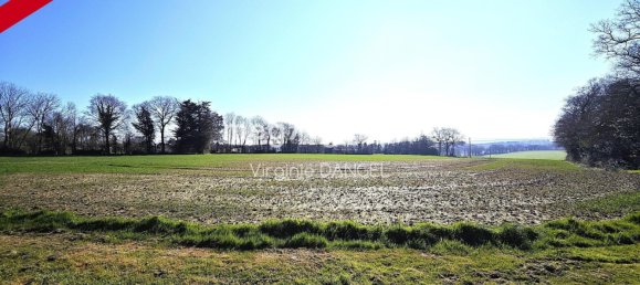 4 bedrooms House in Caro, France No. 201860 19