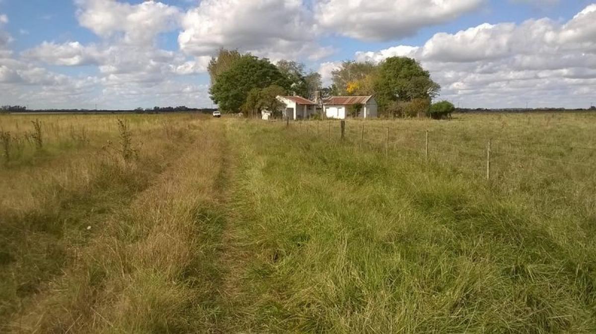 2 Schlafzimmer Haus in Marcos Paz, Argentina, Nr. 77925