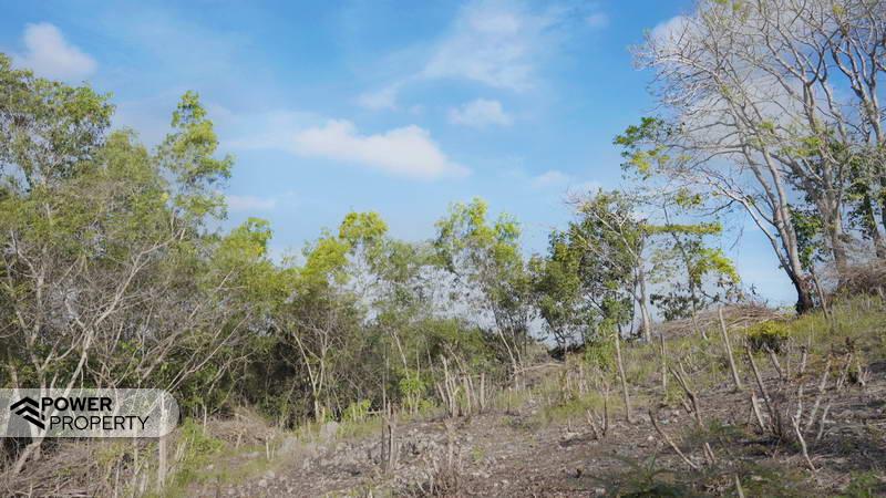  قطعة أرض في Nusa Dua, Indonesia 1700متر مربع رقم 3676