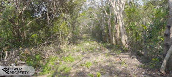  قطعة أرض في Nusa Dua, Indonesia 1700متر مربع رقم 3676 9