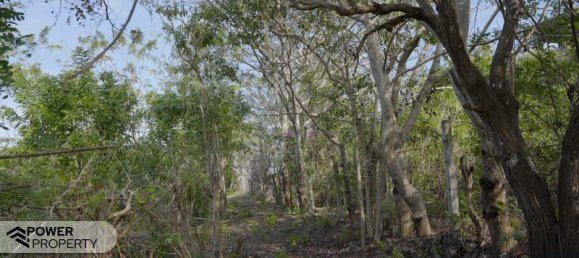  قطعة أرض في Nusa Dua, Indonesia 1700متر مربع رقم 3676 10