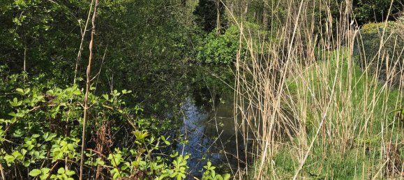 3 Schlafzimmer Stadthaus in Bremen, Germany, Nr. 219320 12