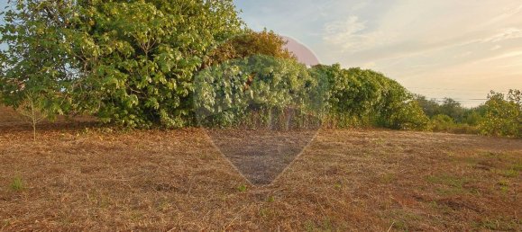 2 bedrooms House in Coimbra, Portugal No. 180394 17