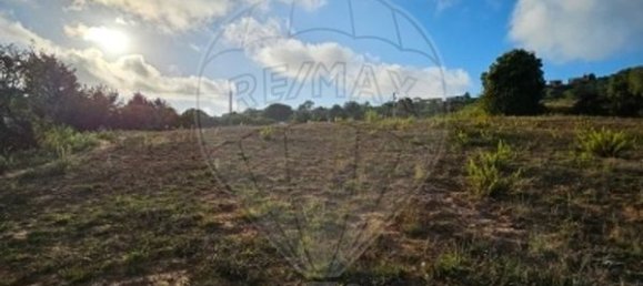 4 bedrooms House in Alcobaca, Portugal No. 16164 13