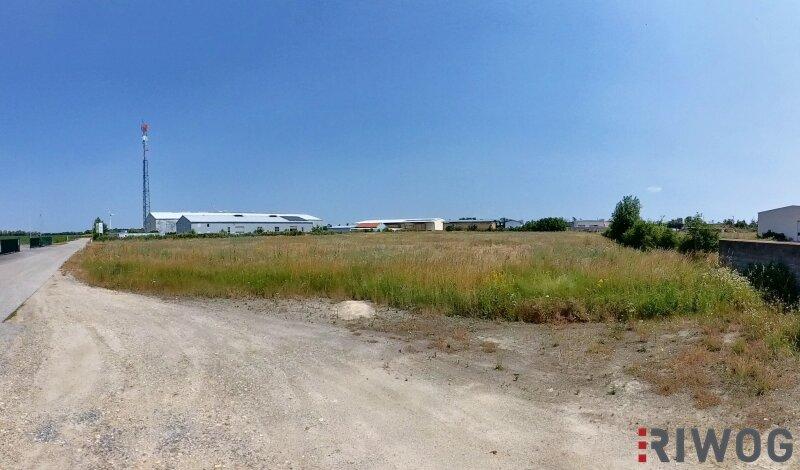 Terrain à Ganserndorf, Austria 12496m² No. 202472