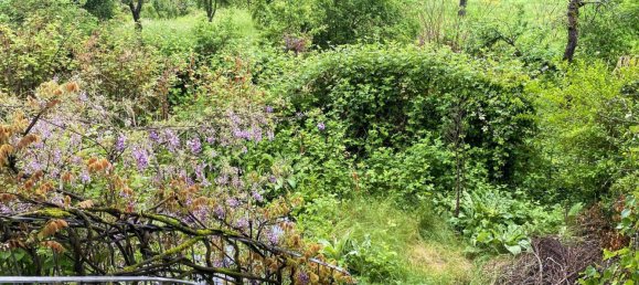 Villa de 8 divisões em Main-Spessart, Germany N.º 359630 3