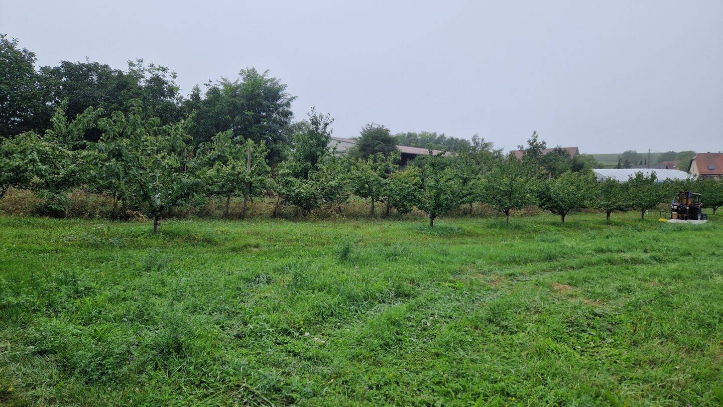  قطعة أرض في Ebersheim, France 529متر مربع رقم 42467