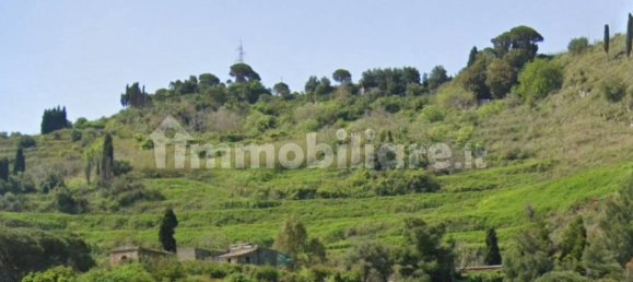 12 Schlafzimmer Villa in Messina, Italy, Nr. 43032 4