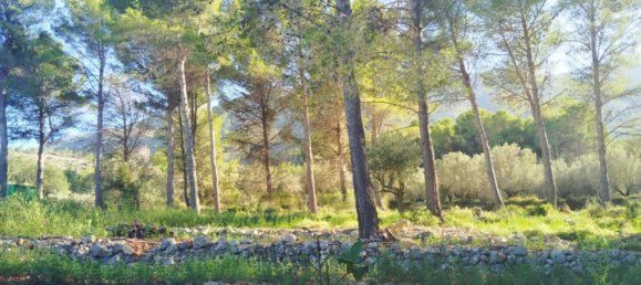 2 غرف نوم منزل في Parcent, Spain رقم 42362 5