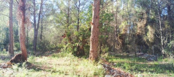 2 غرف نوم منزل في Parcent, Spain رقم 42362 22