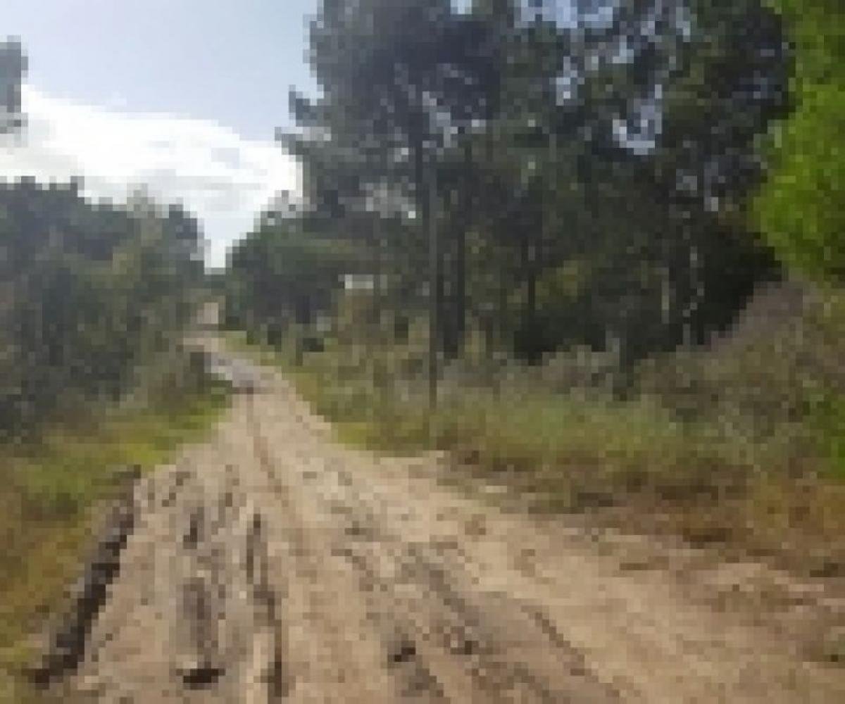 Grundstück in Mar del Plata, Argentina, Nr. 120066