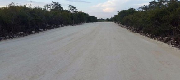 Terrain à Merida, Mexico No. 110737 2