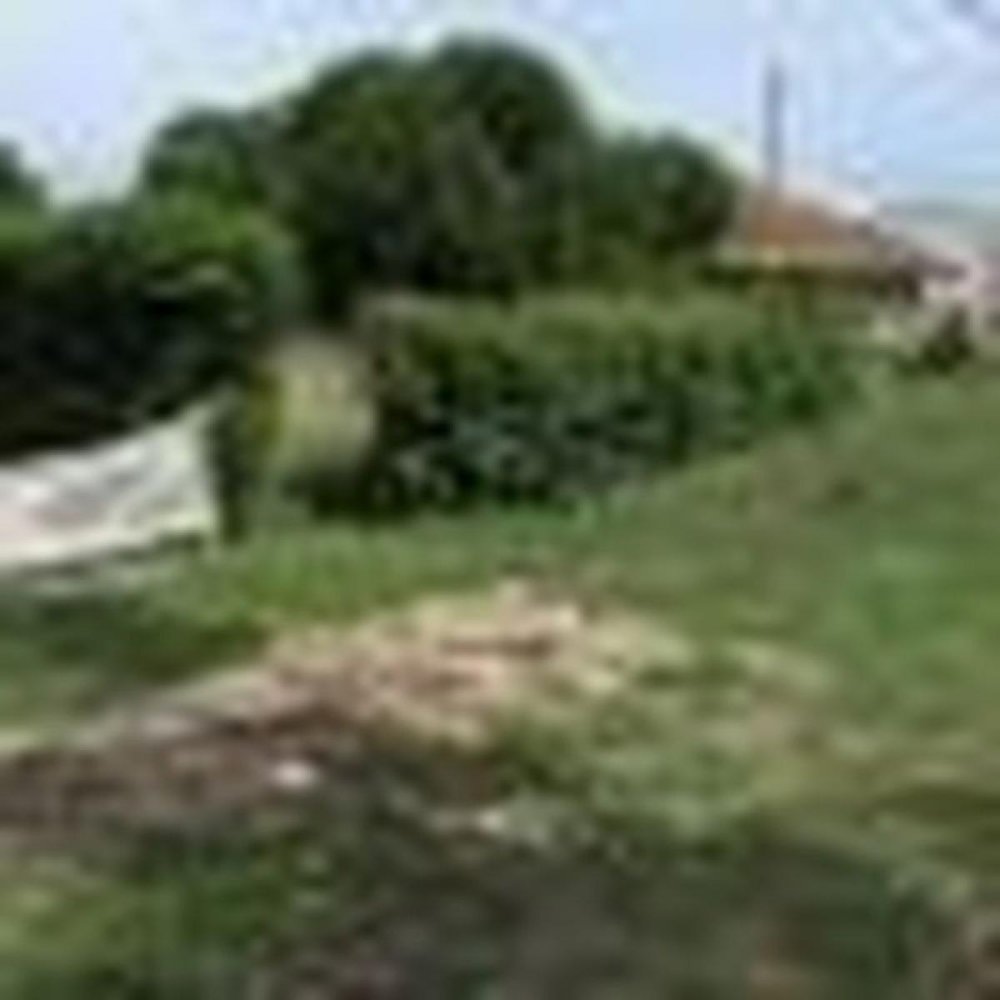 Terreno em Mar del Plata, Argentina N.º 113232