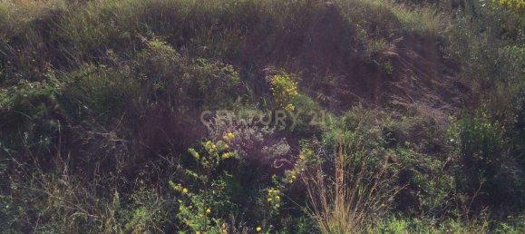 622m² Land in Bigues i Riells, Spain No. 156550 10