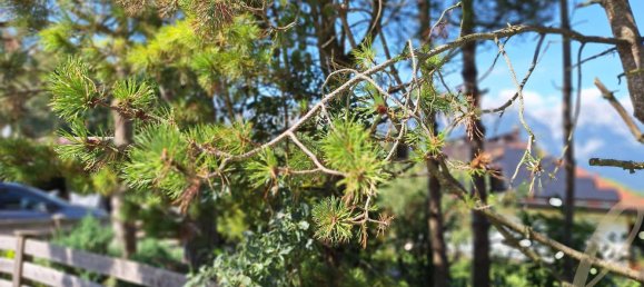 Apartamento de 2 habitaciónes en Sistrans, Austria No. 241532 8