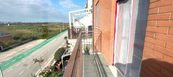 3 rooms Apartment in Campomarino, Italy No. 21308 14