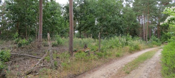  Land in Dahme-Spreewald, Germany No. 24249 4