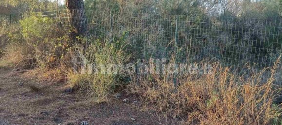 Grundstück in Mascalucia, Italy 6656m², Nr. 273500 6