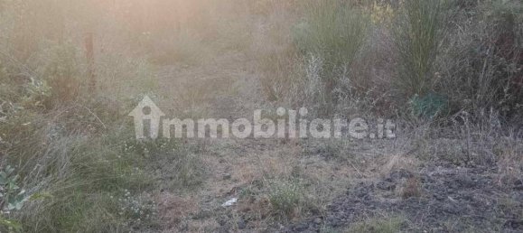 Grundstück in Mascalucia, Italy 6656m², Nr. 273500 11