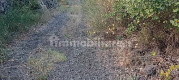 Grundstück in Mascalucia, Italy 6656m², Nr. 273500 13