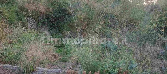 Grundstück in Mascalucia, Italy 6656m², Nr. 273500 10