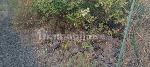 Grundstück in Mascalucia, Italy 6656m², Nr. 273500 12