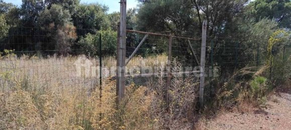 Grundstück in Mascalucia, Italy 6656m², Nr. 273500 15