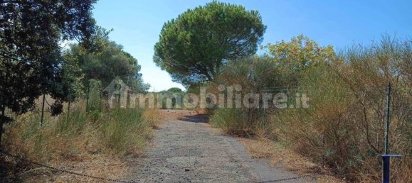 Grundstück in Mascalucia, Italy 6656m², Nr. 273500 4