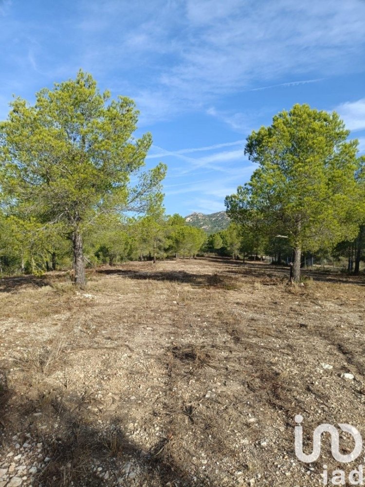 15000m² Land in L'Ametlla de Mar, Spain No. 292549