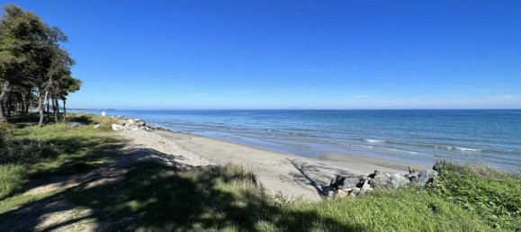 1 chambre Appartement à Santa-Maria-Poggio, France No. 89293 11