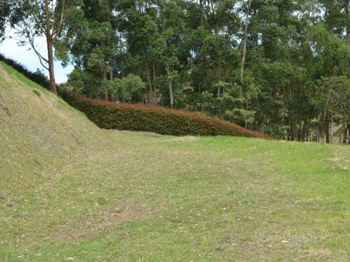  Land in Antioquia, Colombia No. 452