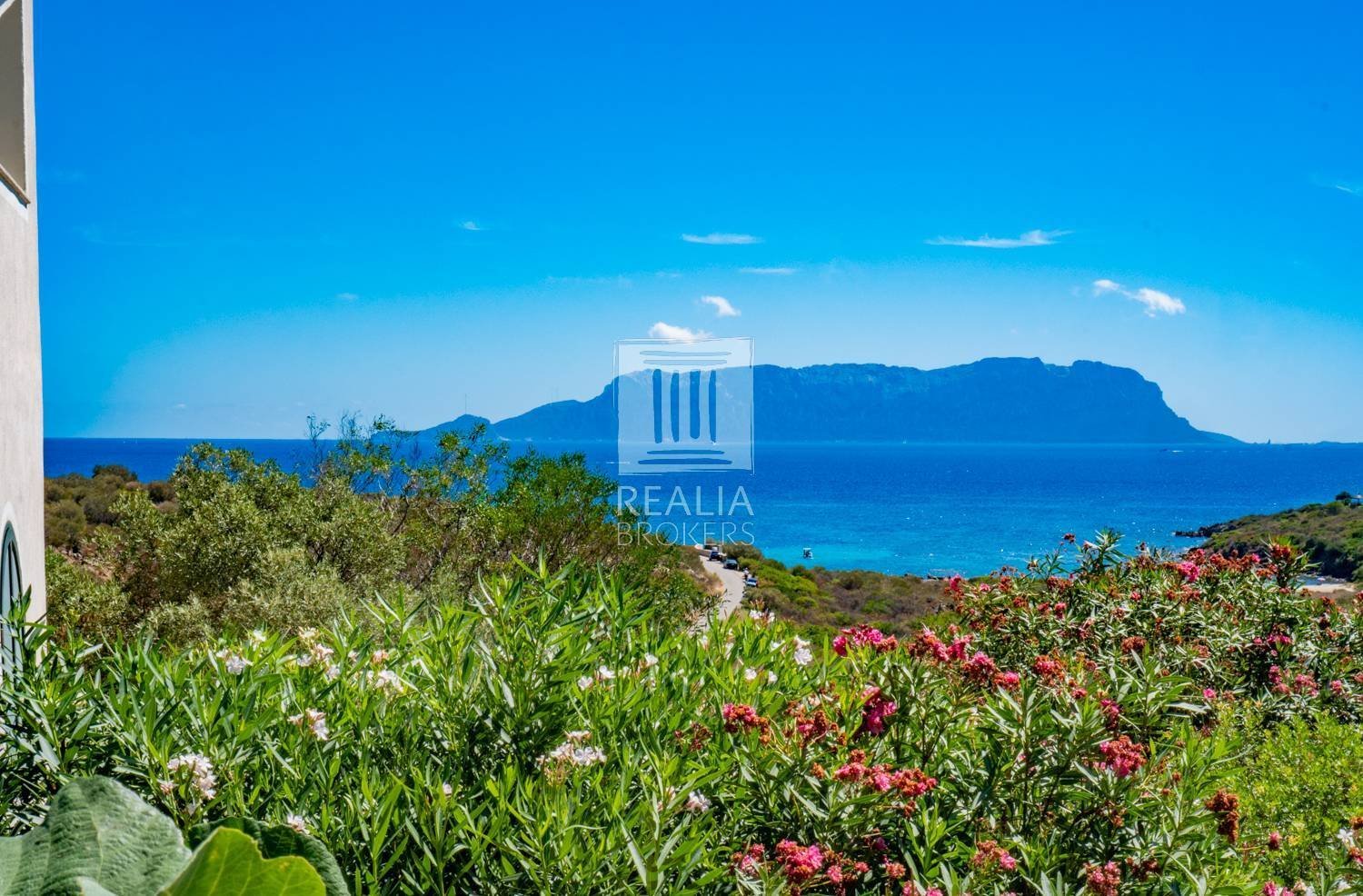 3 chambres Villa à Golfo Aranci, Italy No. 378304