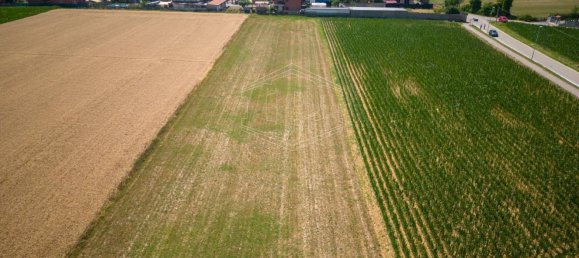 15000m² Land in Villanova d'Asti, Italy No. 90690 6